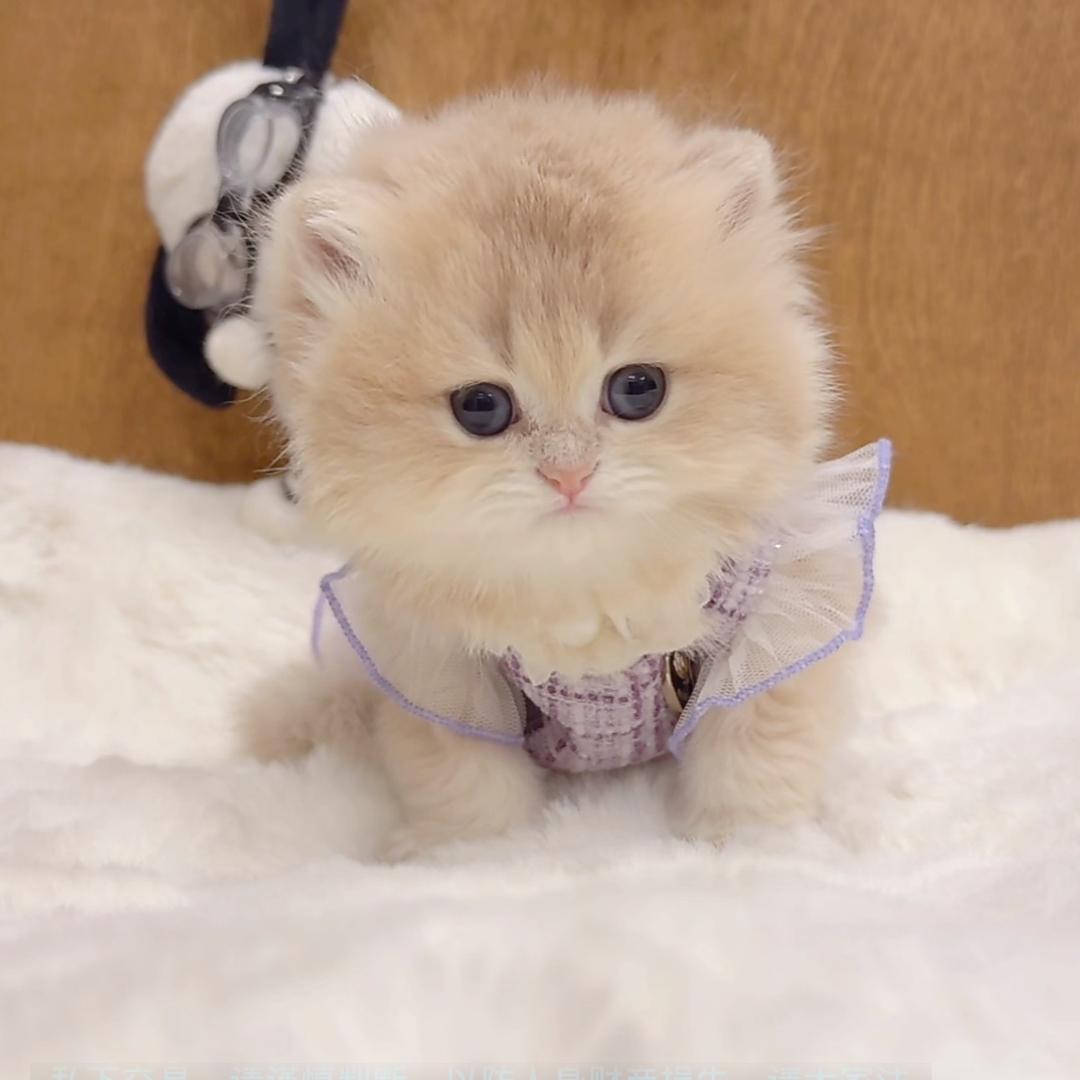 小悠悠 💕