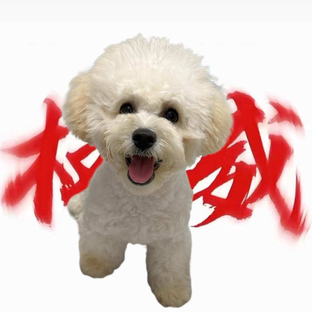 卷卷卷卷卷卷