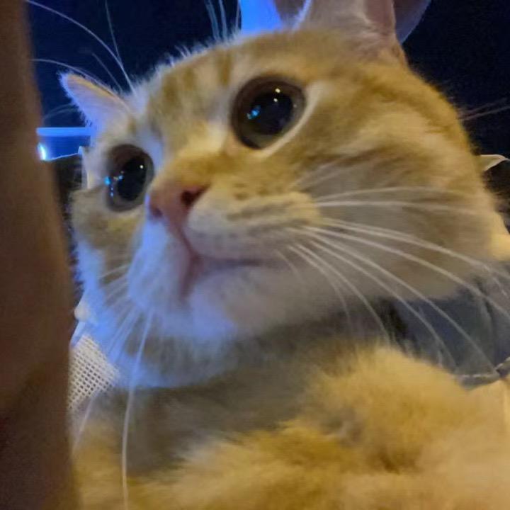 ———