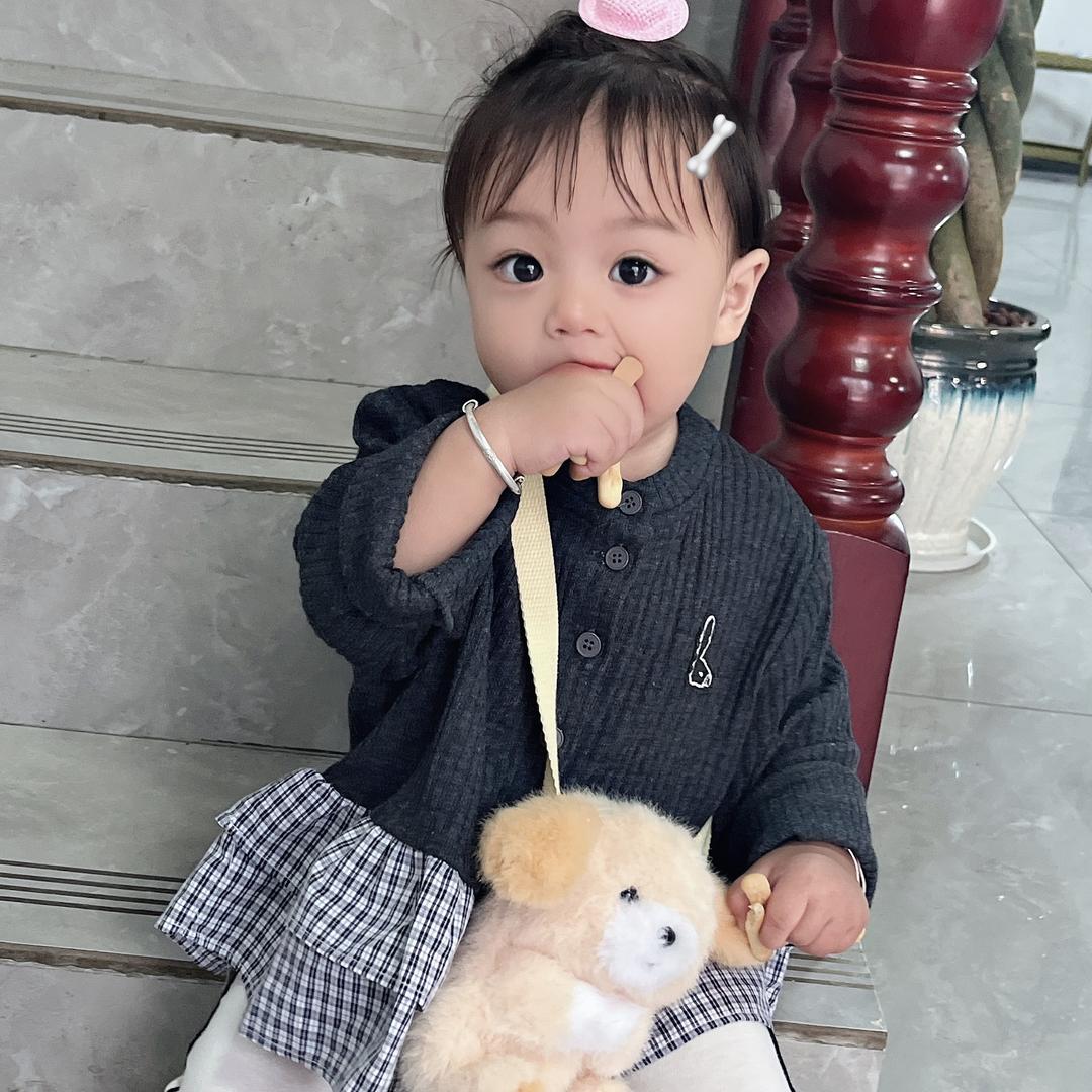 贝贝的成长史