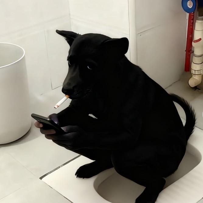 人傻嘴不甜长得不高还没钱