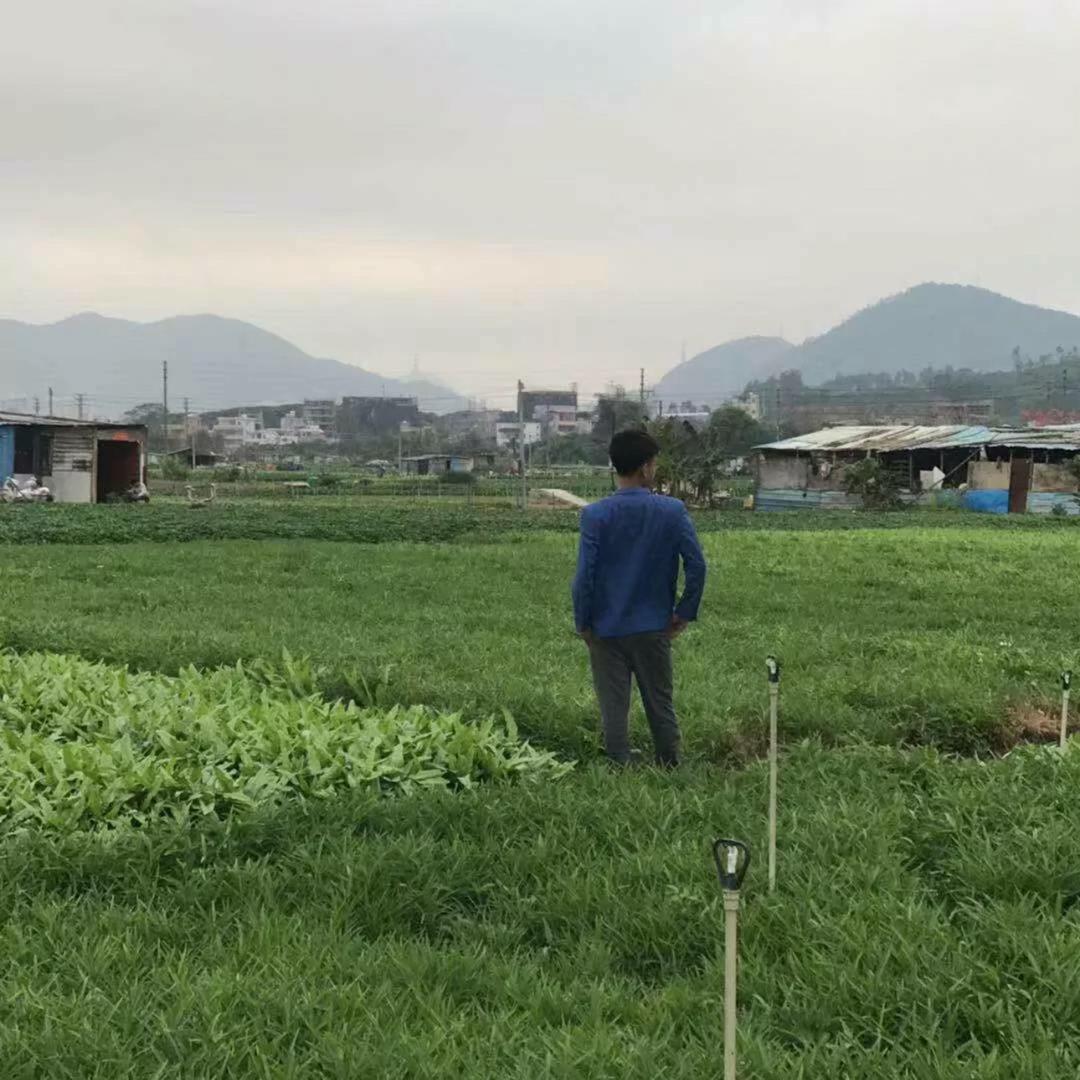 甘青半价车 《叶飞名车汇》🚗