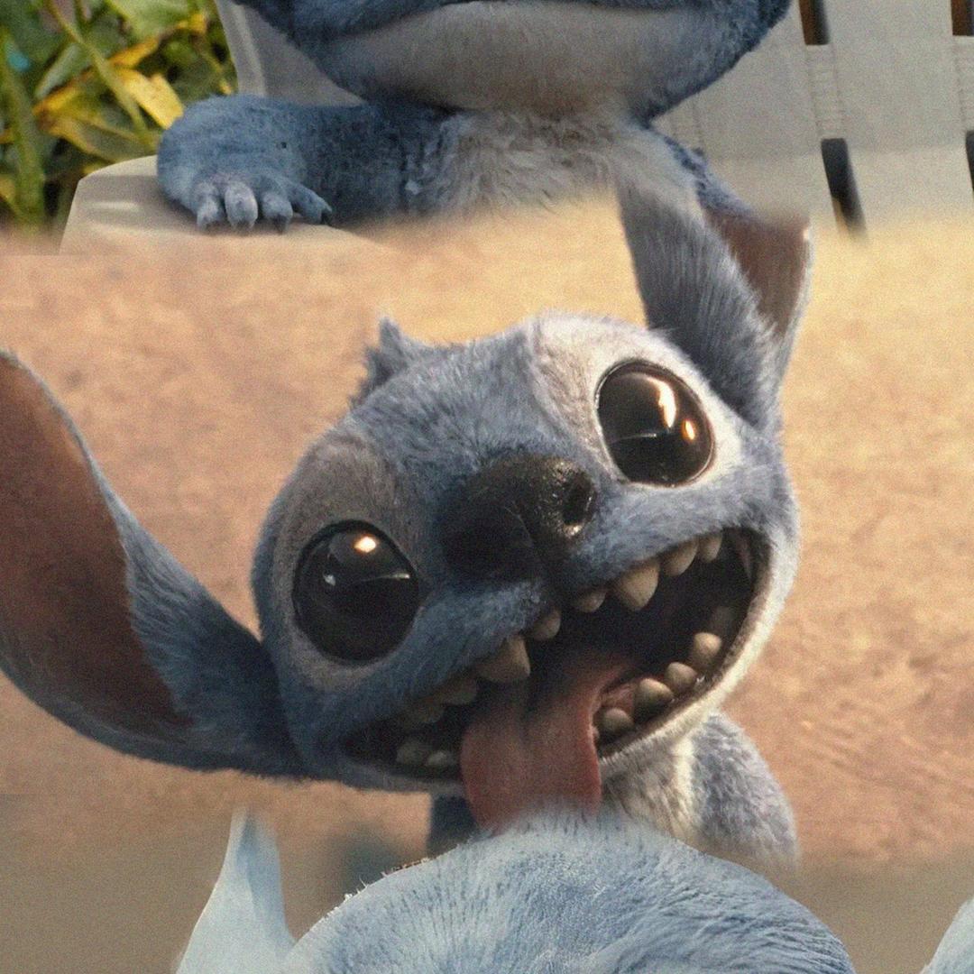 Sitich.（反季节）