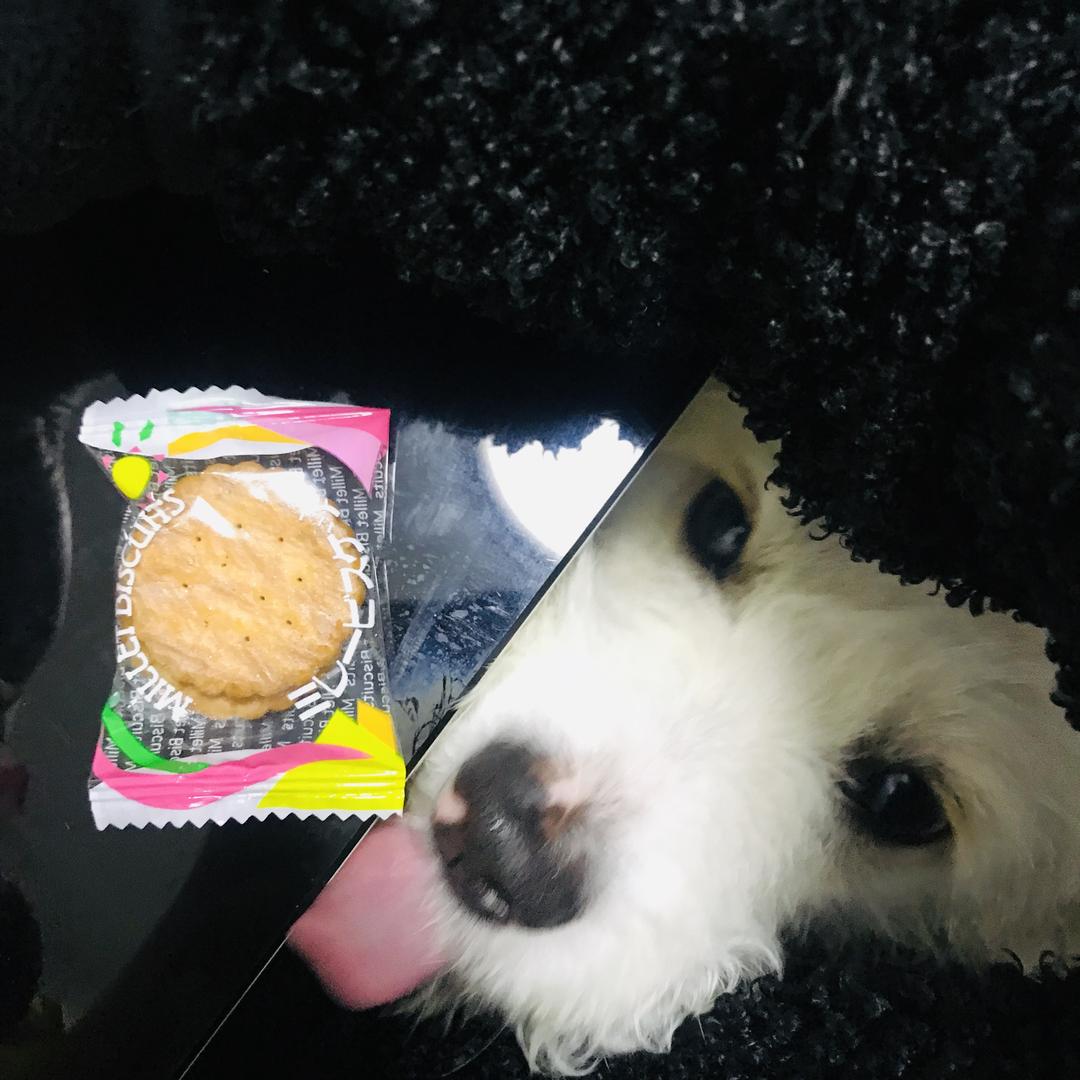 一个有意思的人