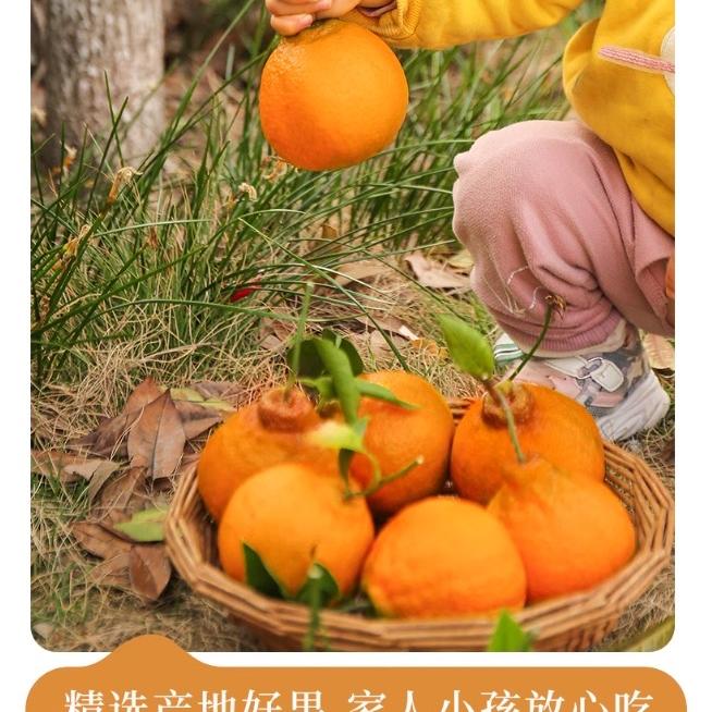 福建好再来水果仓