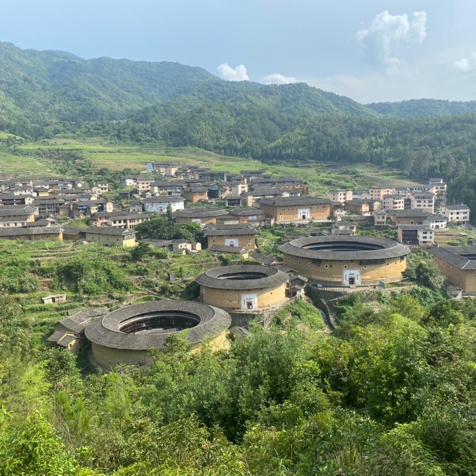 黑麦草
