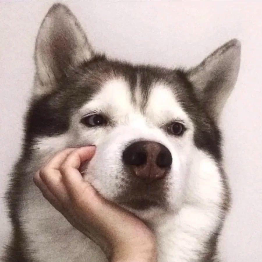 营火虫