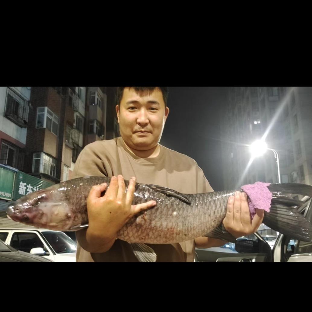 小龙垂钓