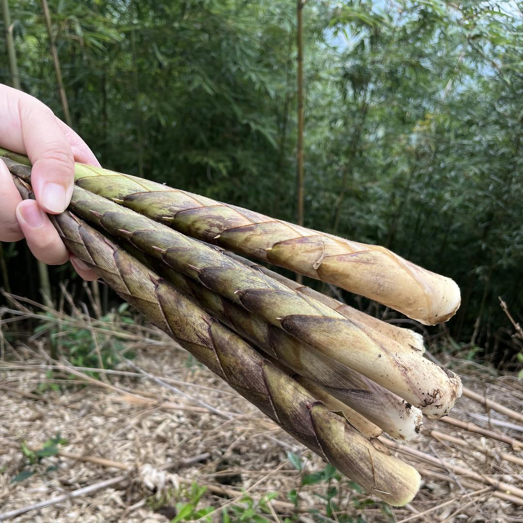深山农家美食生鲜