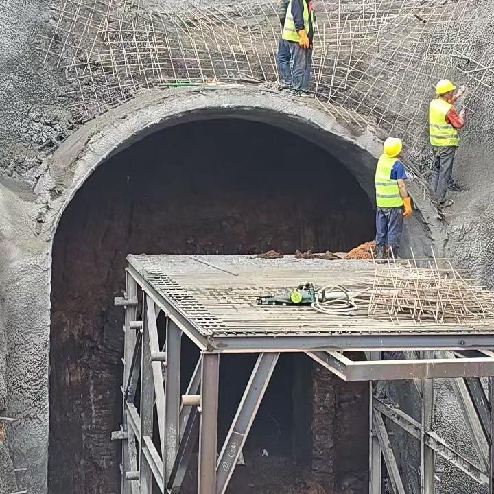 🍃努力备斗☘️