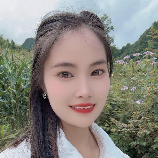 农村小飞