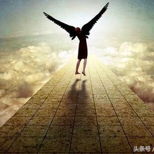 🌈 单词积累机