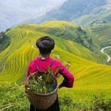 萋萋甄选
