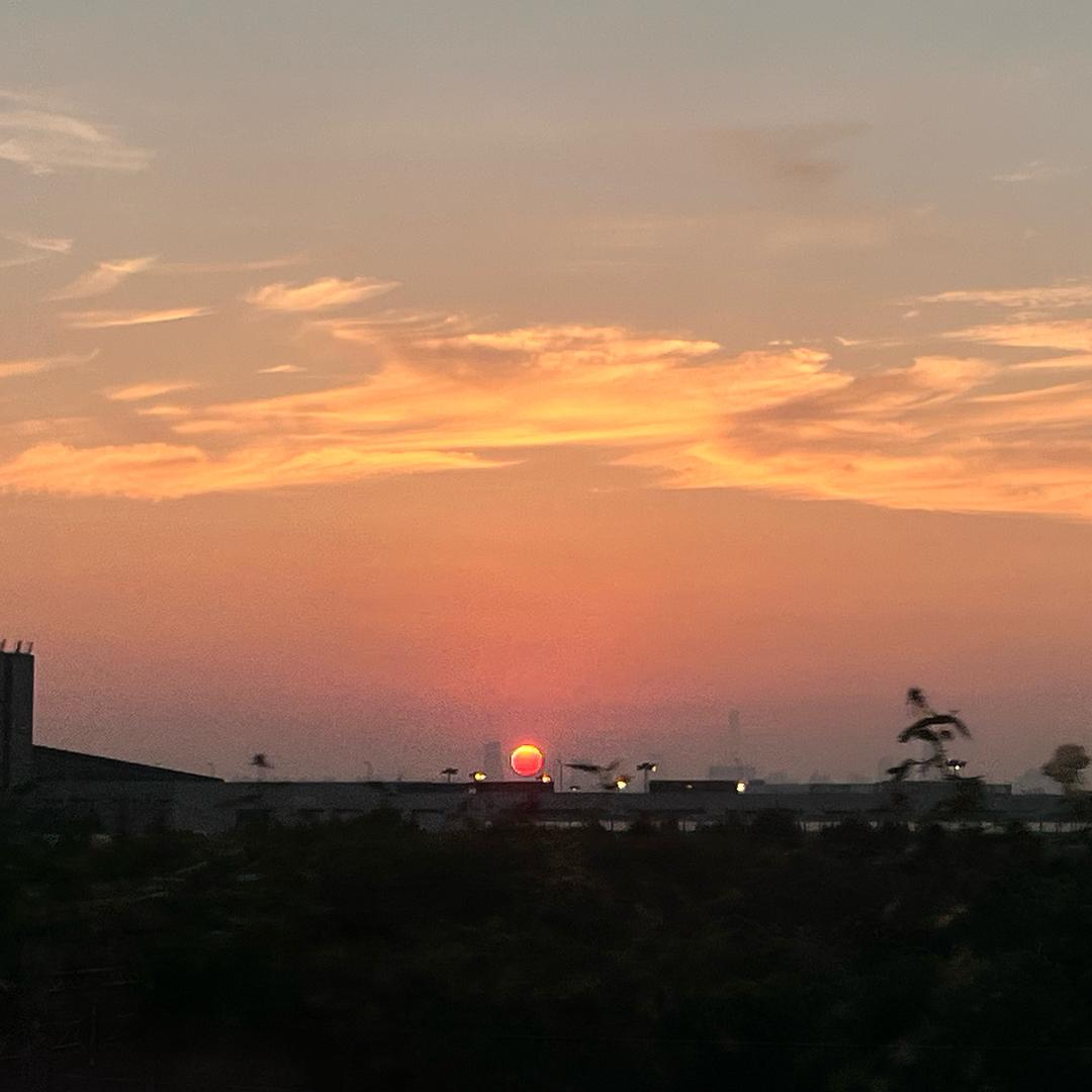 沼津の光