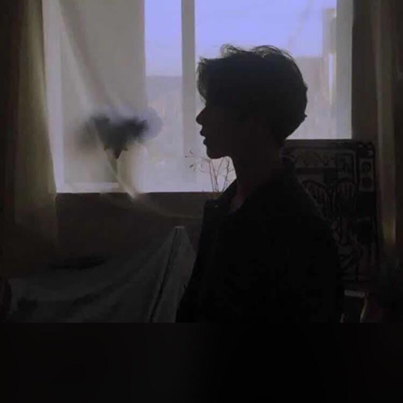 藍桉