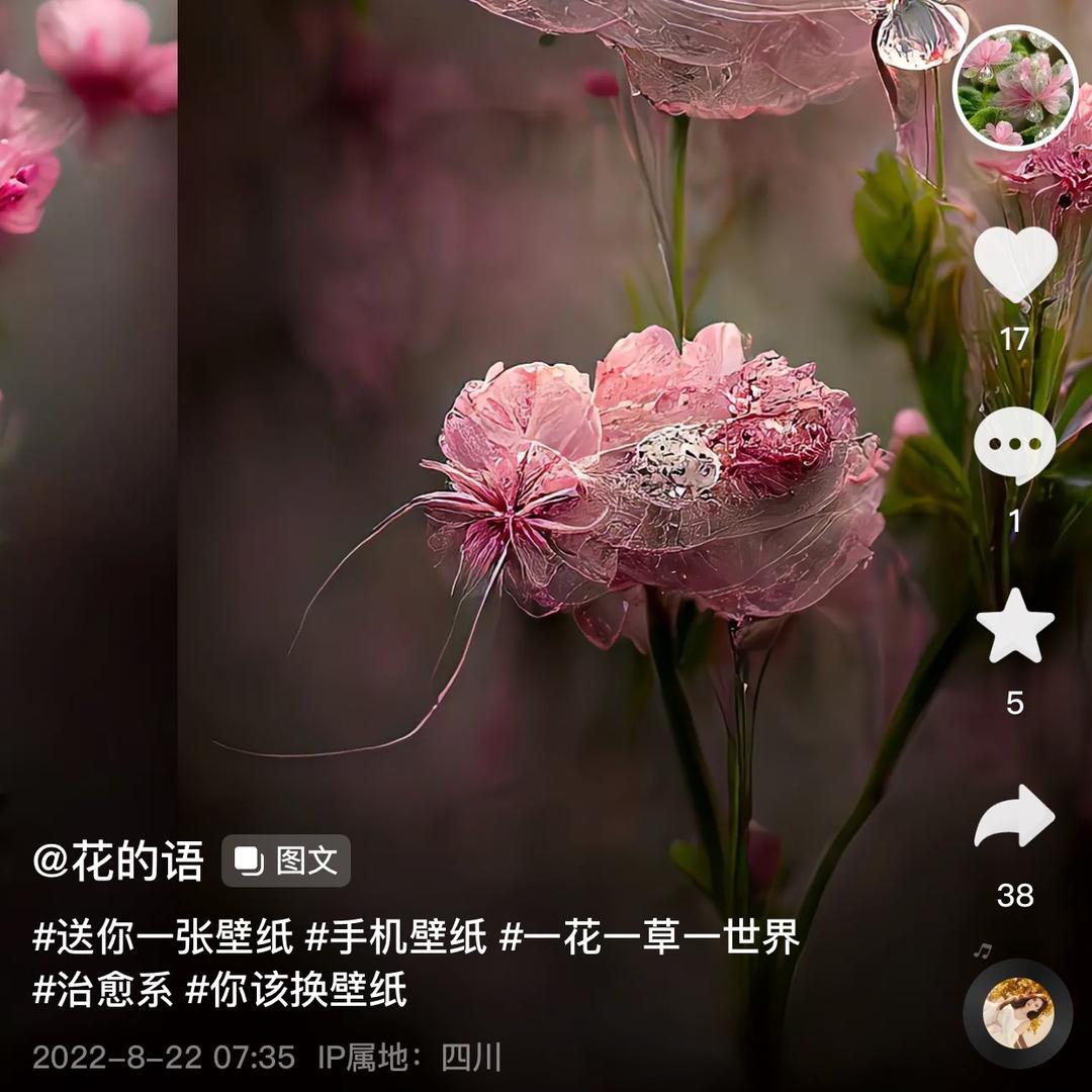 荔枝头像
