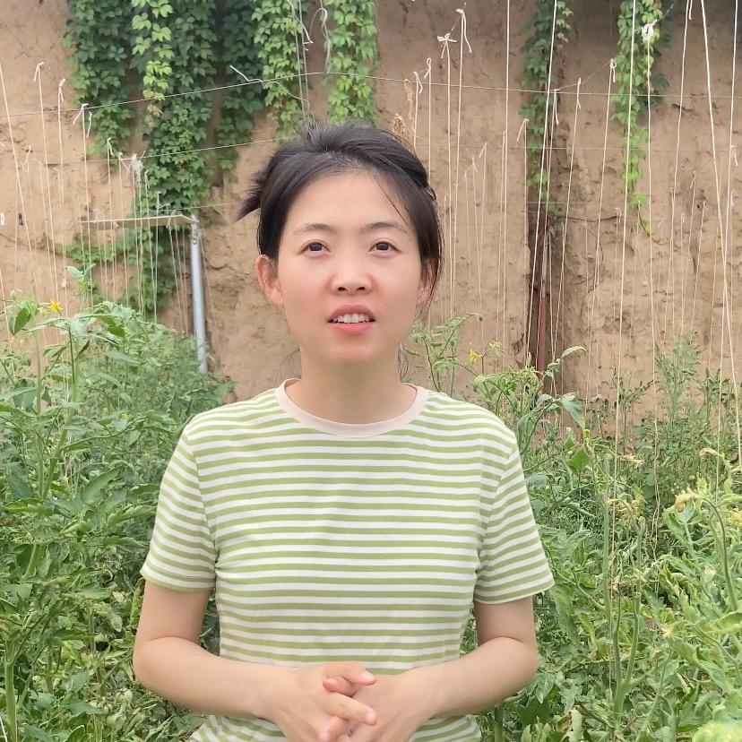 萃盛小菲讲蔬菜