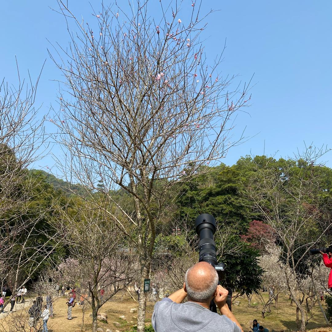 春暖花开