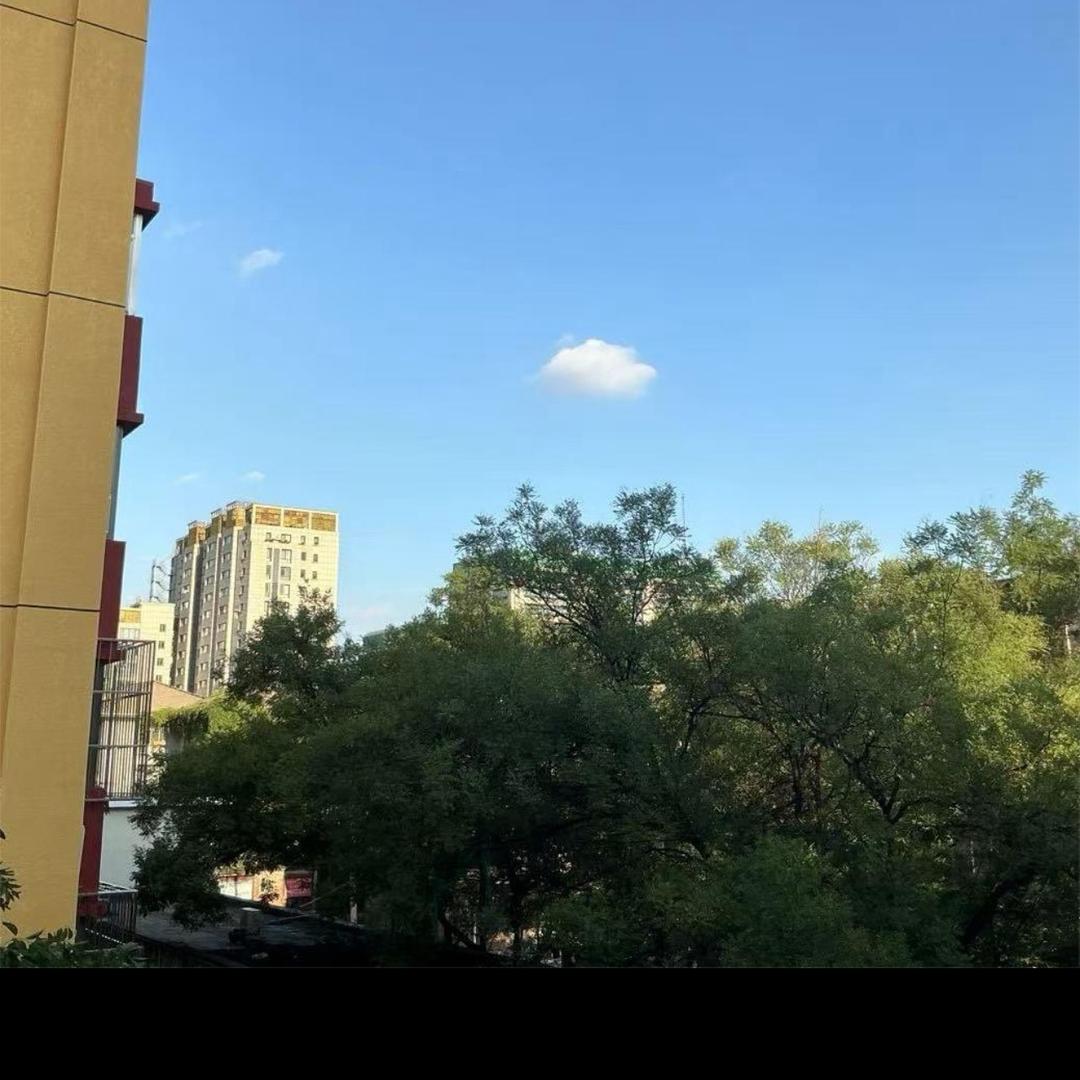 一帆风顺