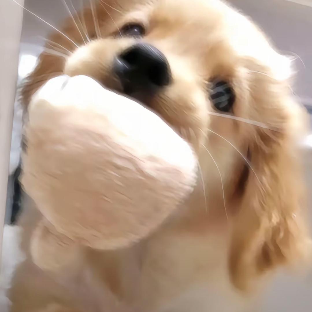 你你你你你你你好