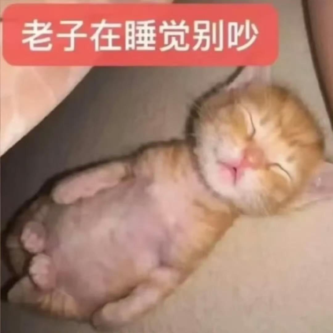 料理鼠王