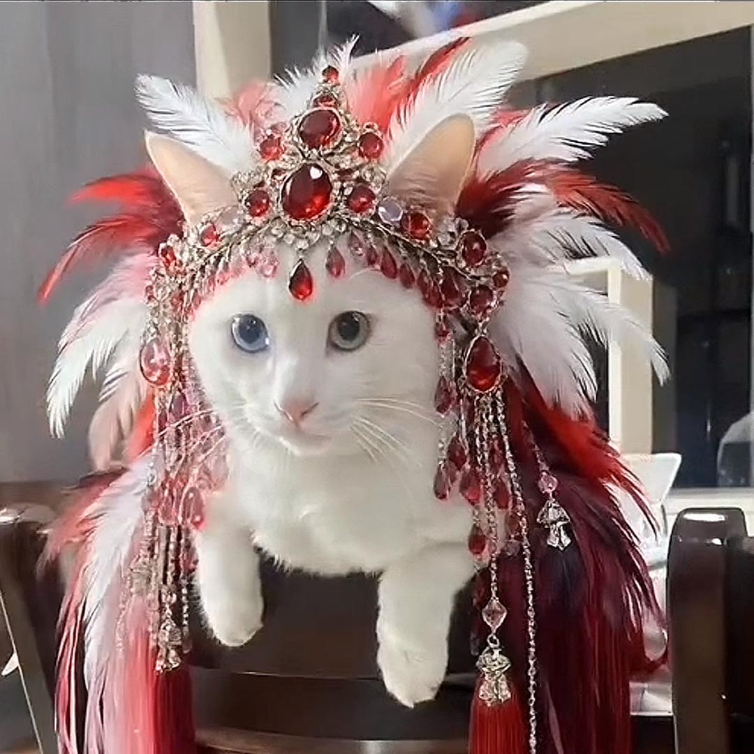 风大暖