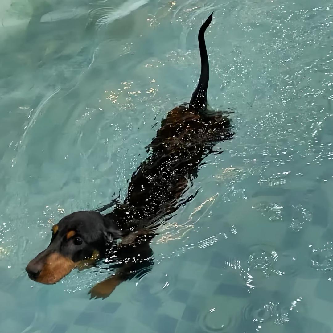 。。。.
