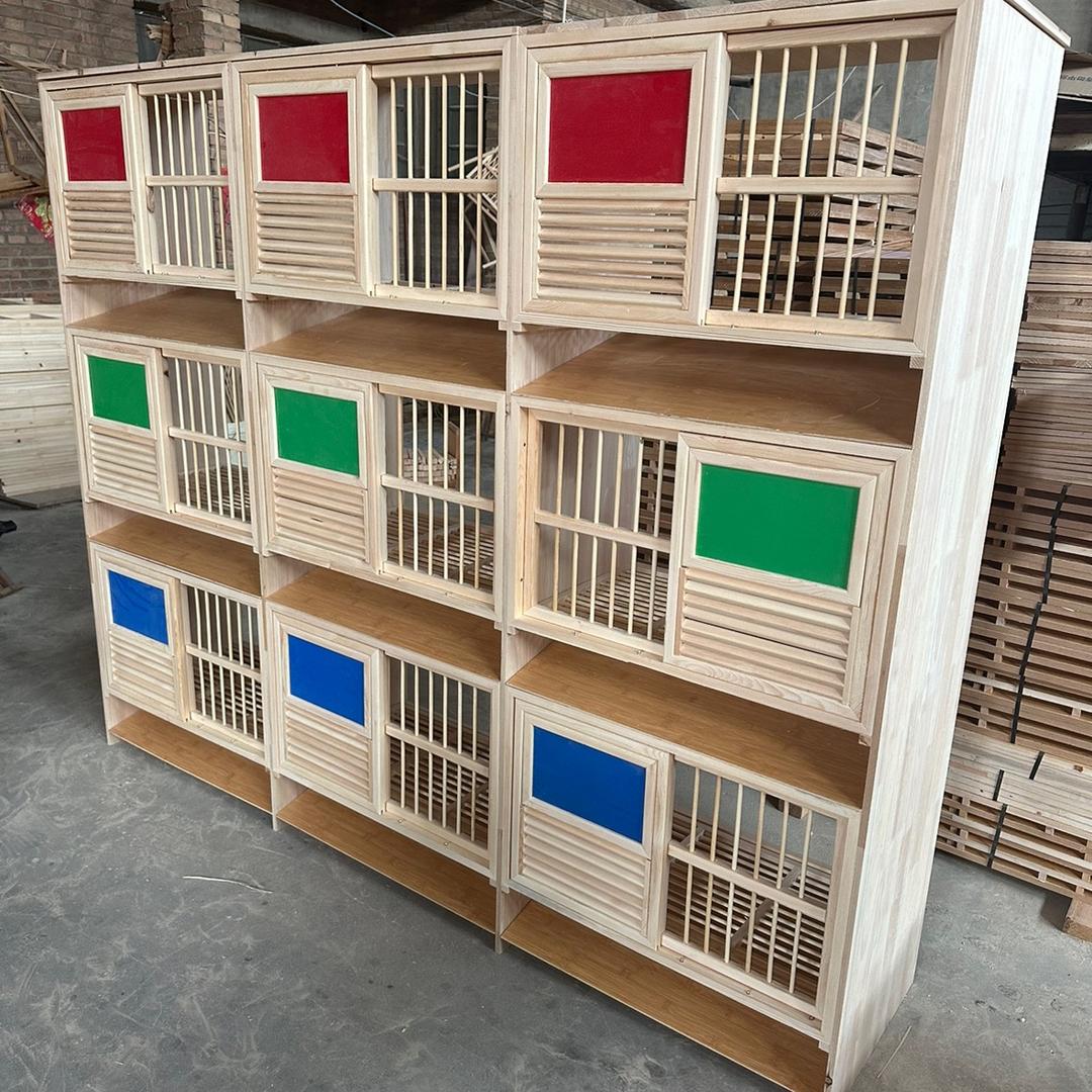 赵县陈琪鸽具