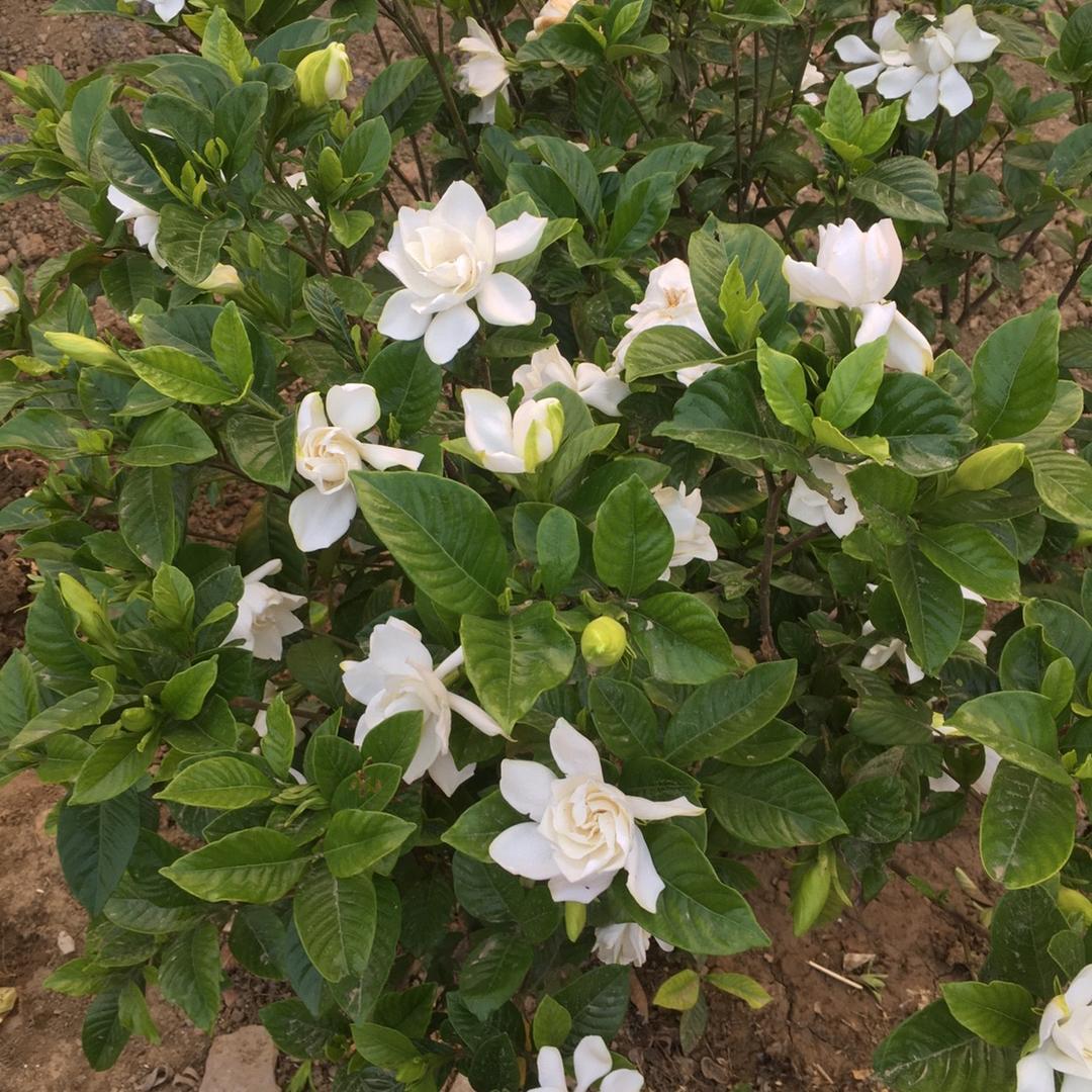 与世无争