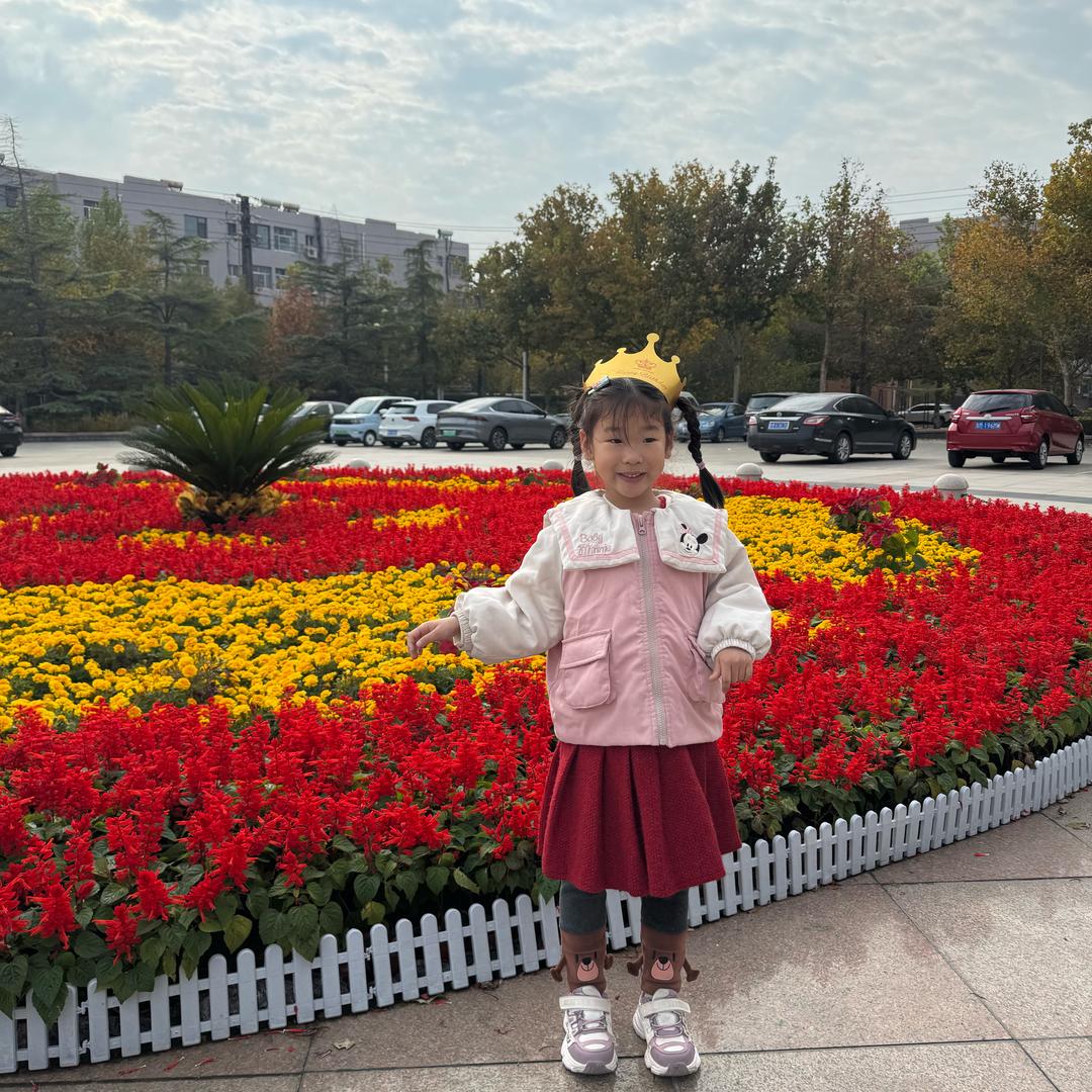 🍔爱吃汉堡🍔