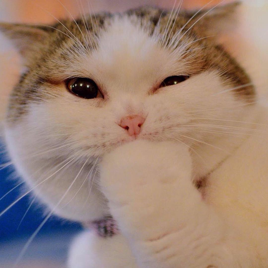 乳山金茂电器宋玲艳