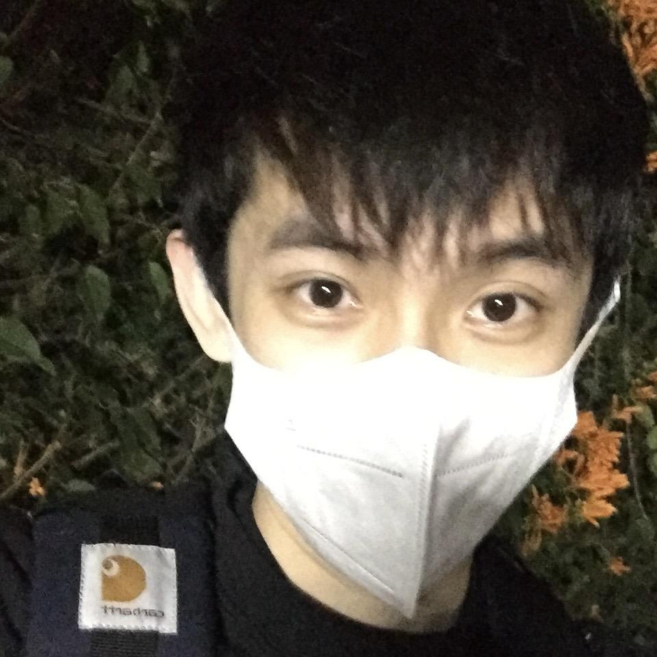 菜狗最少两只