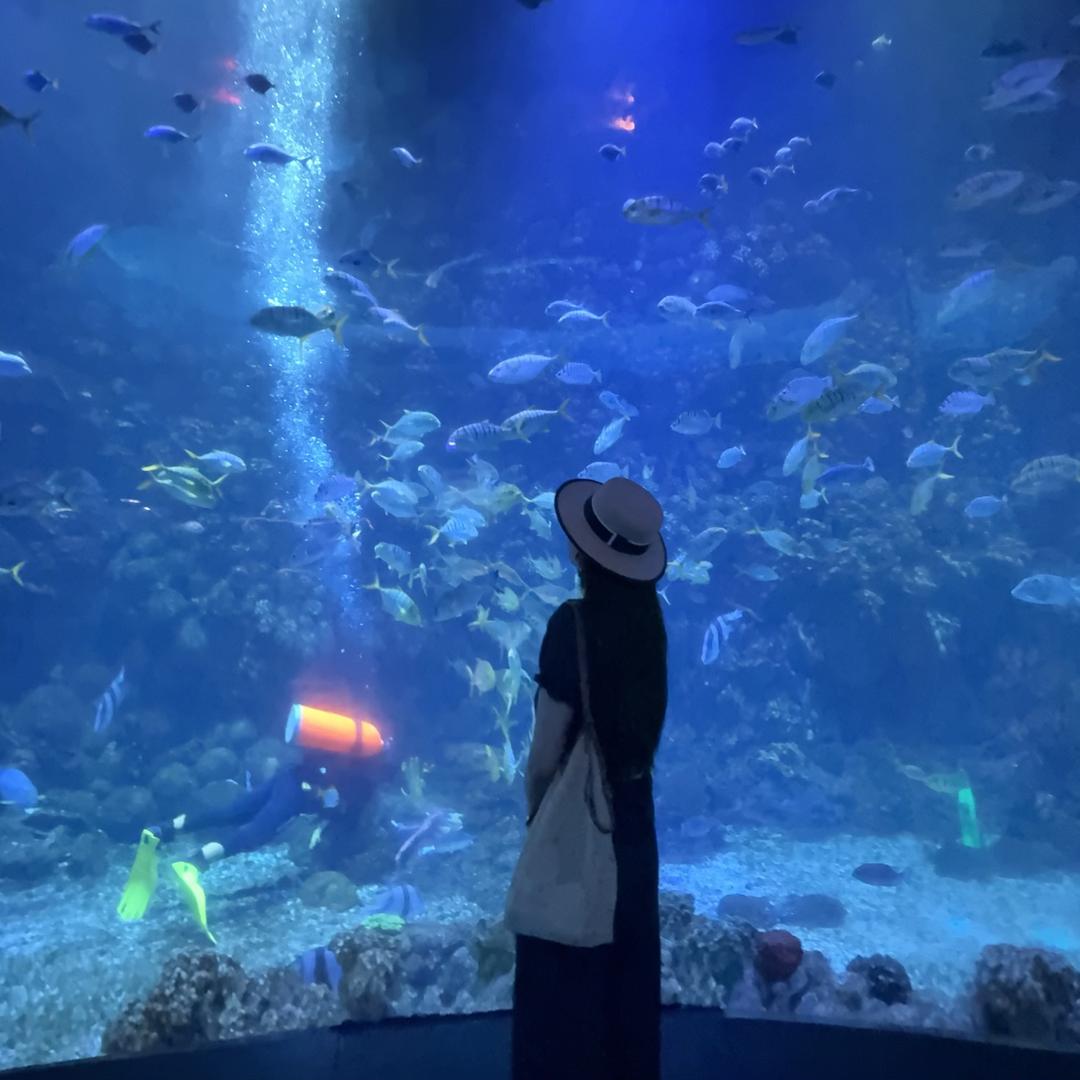 香蕉不NaNaʚʕ̯•͡ˑ͓•̯᷅ʔɞ: