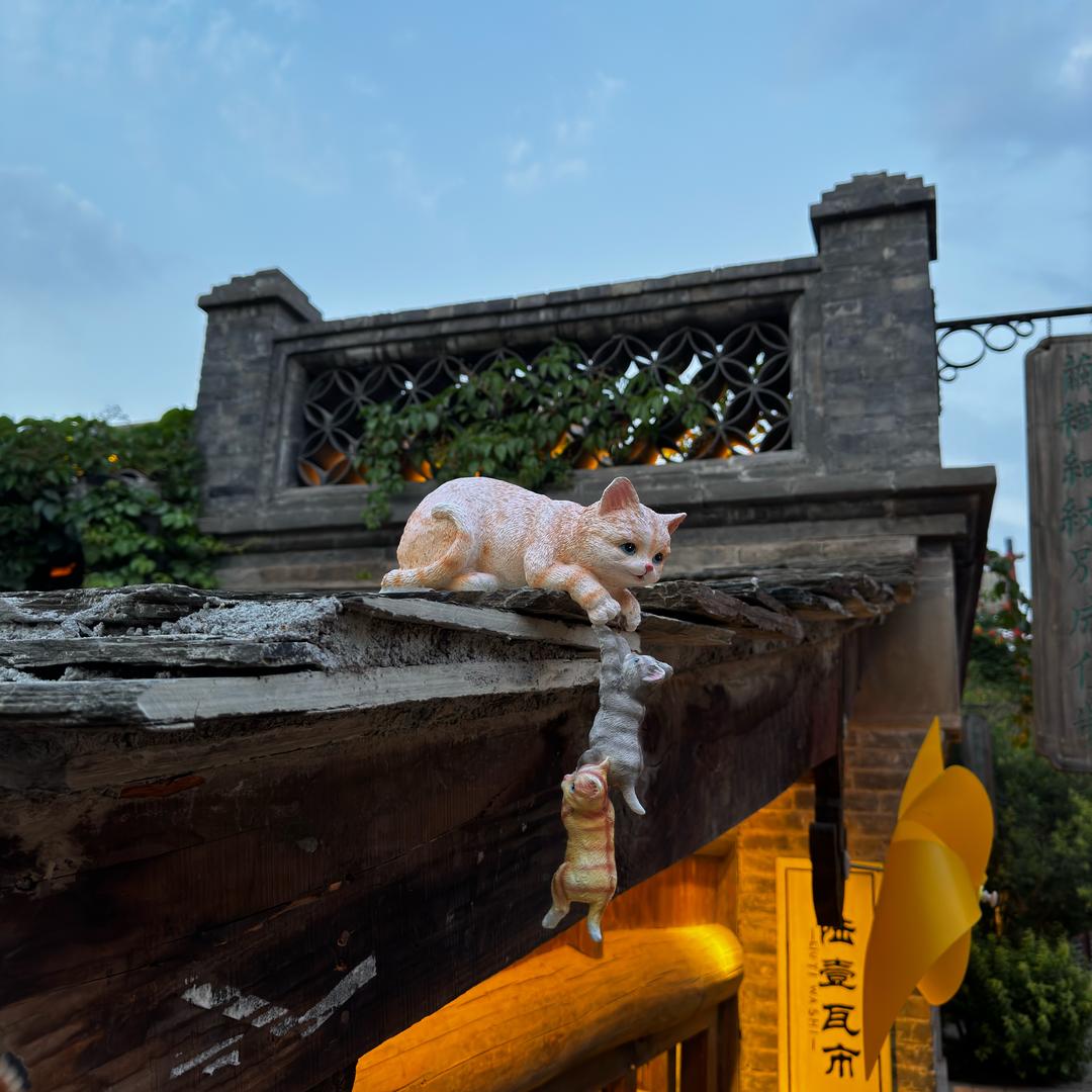 睡不着的泡泡糖：💤