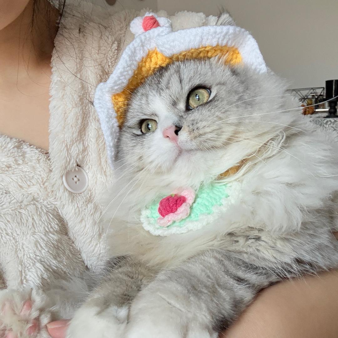 金凡凡