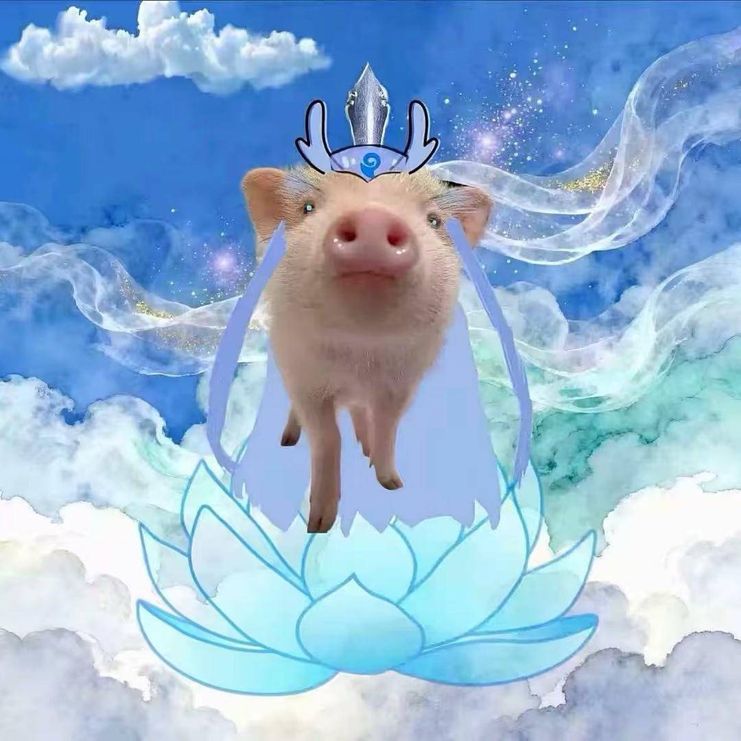 霸道总裁爱上68岁母蟑螂