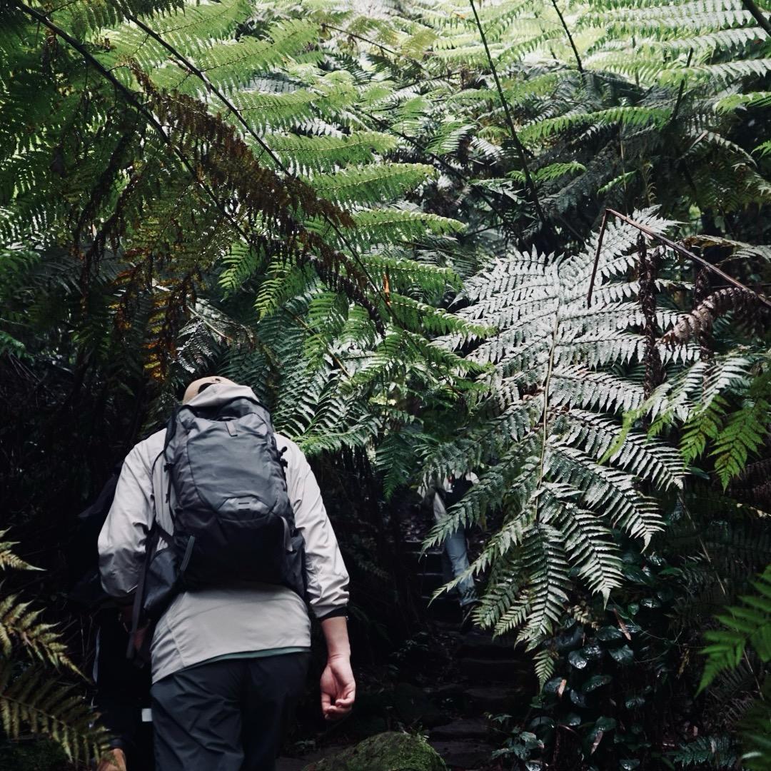 喜欢吃豌杂的小刀