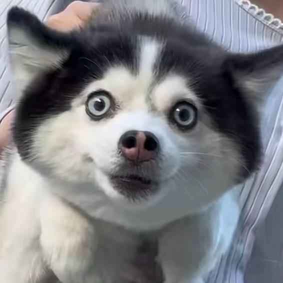 吕合金
