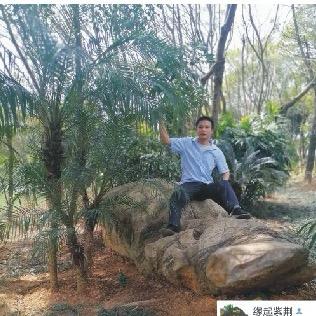 缘分的天空