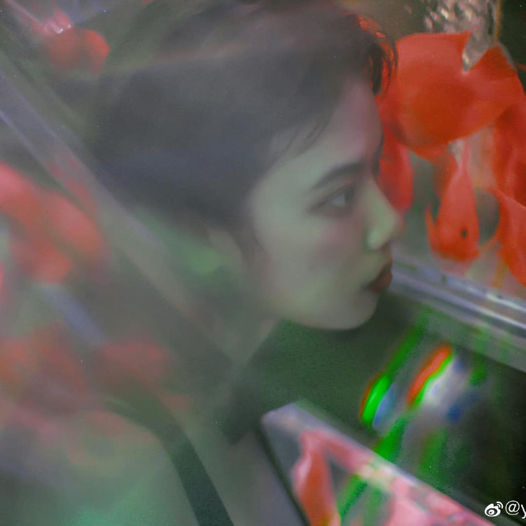 牛尧尧