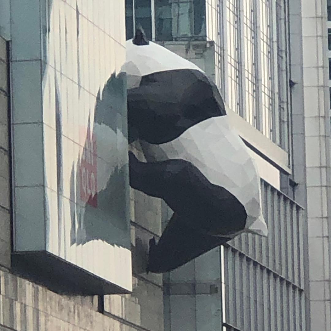 缘分
