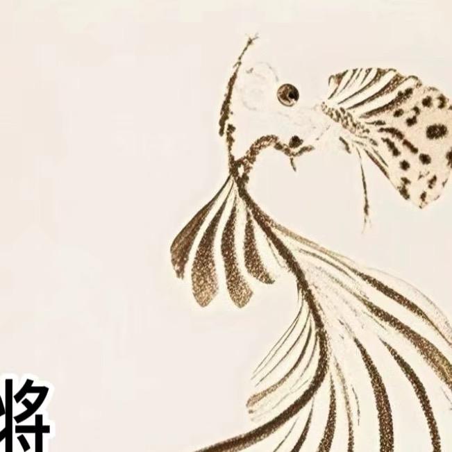 掌心里的鱼🐟