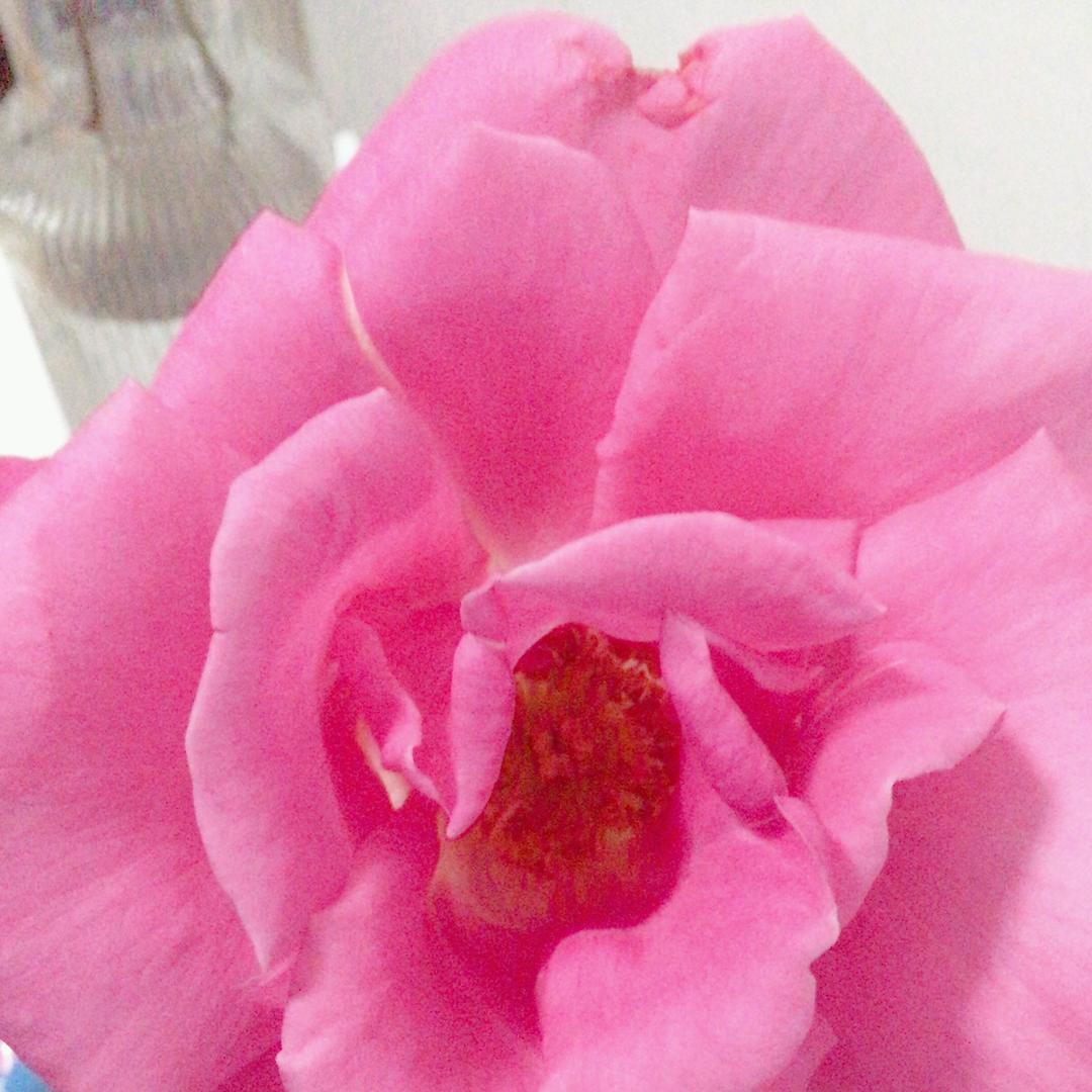 芳华