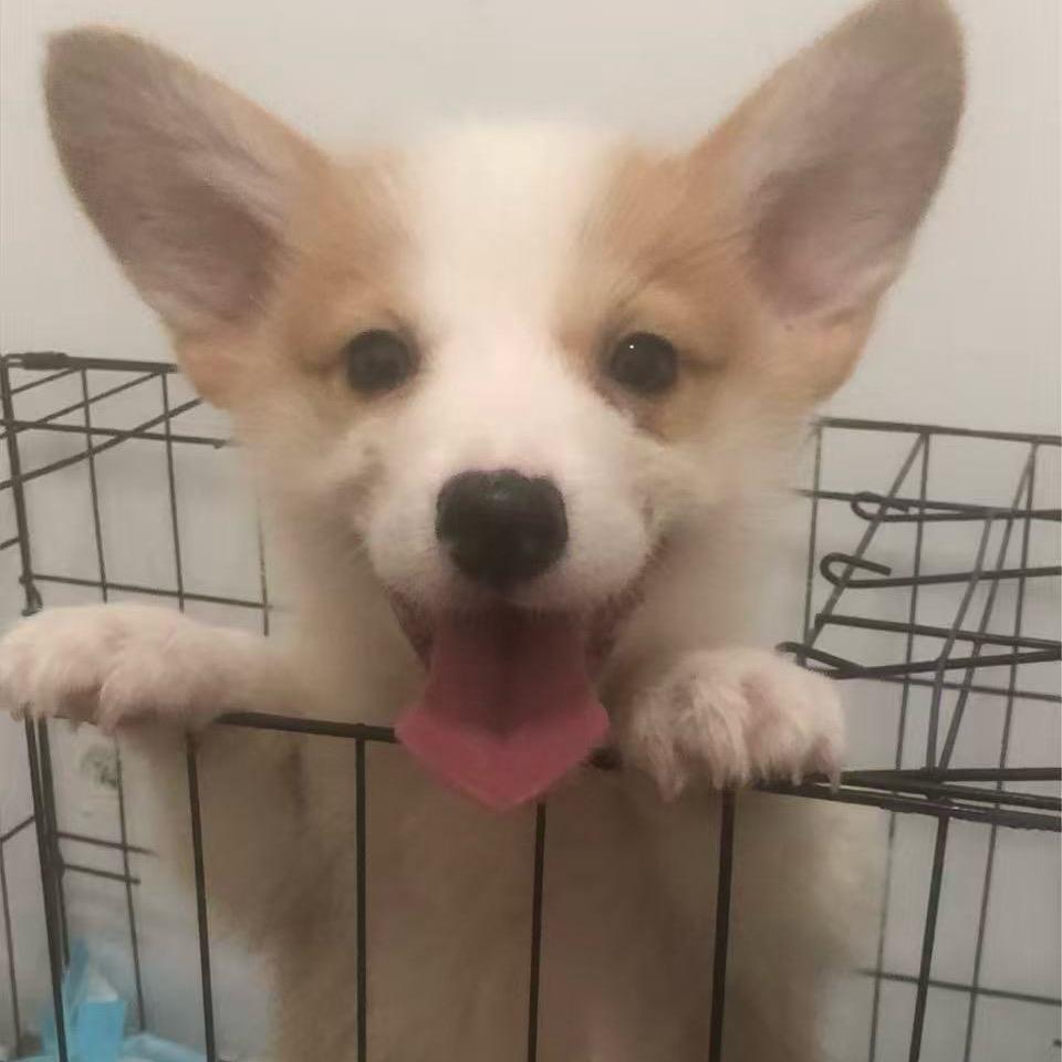 y_