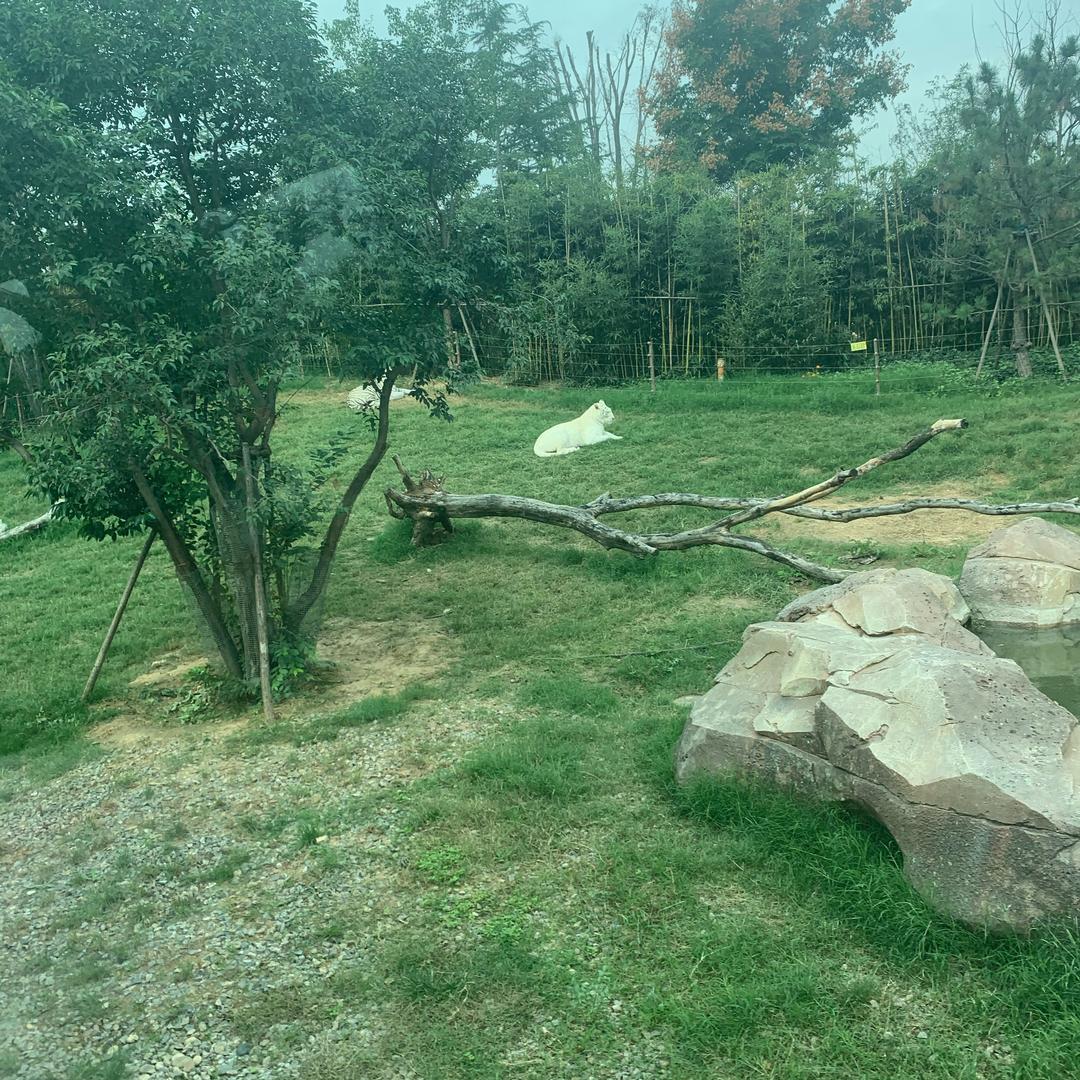 贪嗔痴