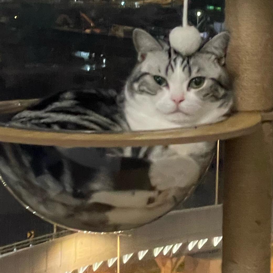 Charcoal是竹炭咖啡