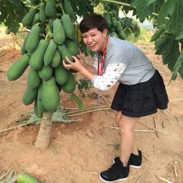 果匠·刘峰