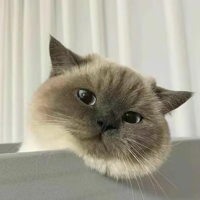 小聋