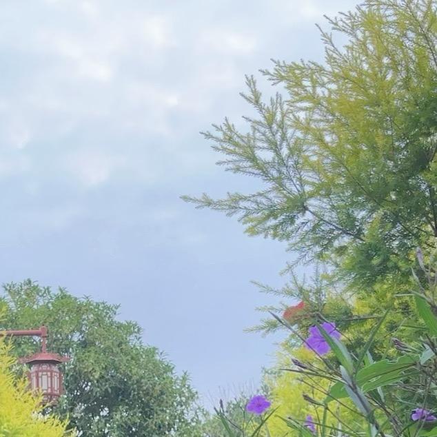 女巫🧙‍♀️