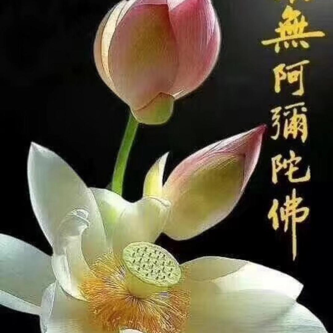 黎姐姐